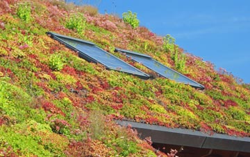 Wrenbury Cum Frith living roof systems